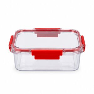 Transparent Lunch Box with Locking Clips