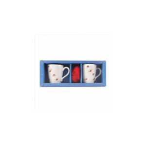 Blue Boxed Mug Pair Gift Set