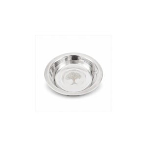 Stainless Steel Everyday Dinner Plate